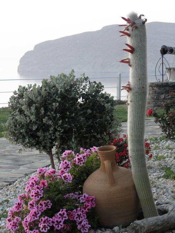 Villa Tholos Crete Kavousi  Ngoại thất bức ảnh