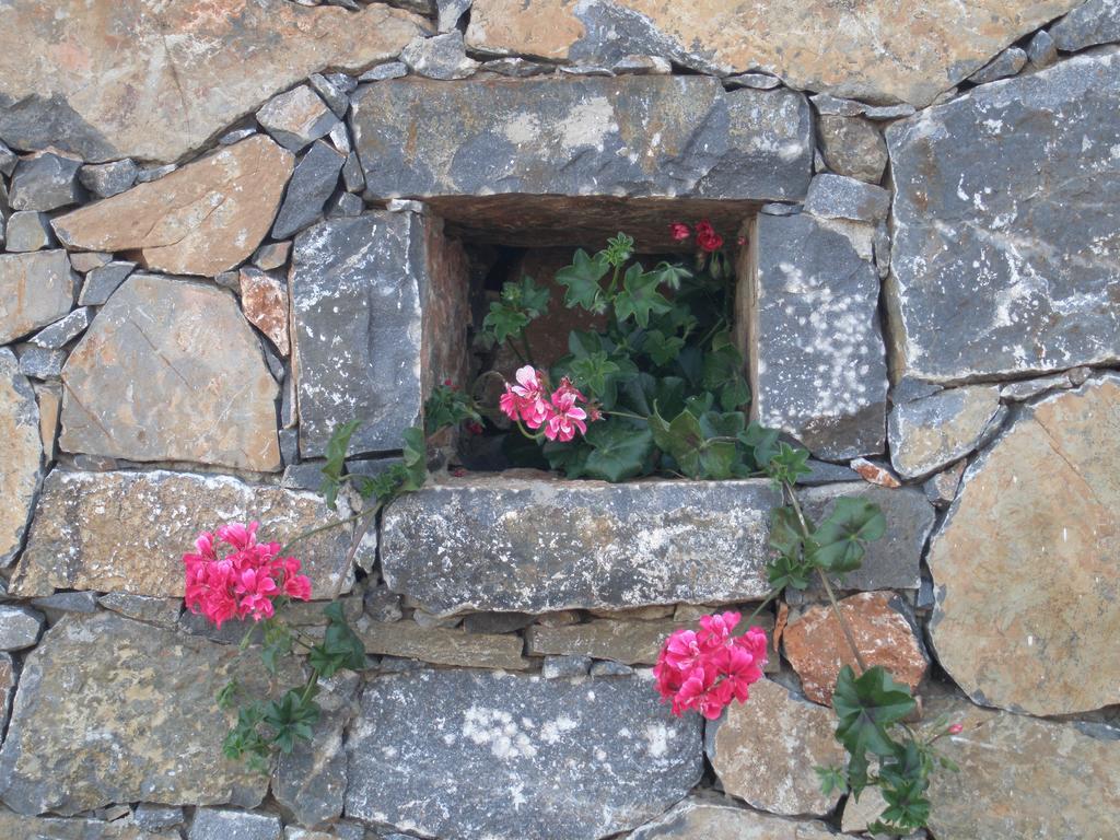 Villa Tholos Crete Kavousi  Ngoại thất bức ảnh